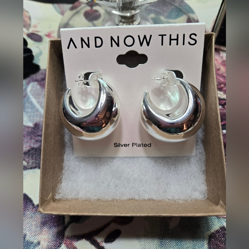 Silver Plated Hoop Earrings